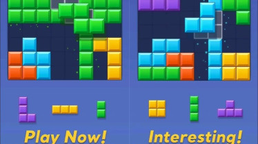 Block Blast Solver img