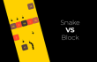 Snake Vs Block img